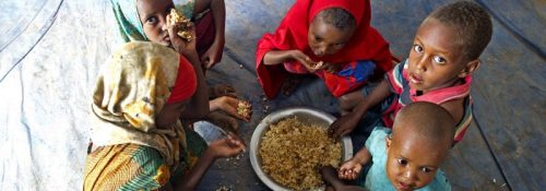 टिग्रेका झण्डै ४० प्रतिशत नागरिकमा खाद्यान्नको चरम अभाव