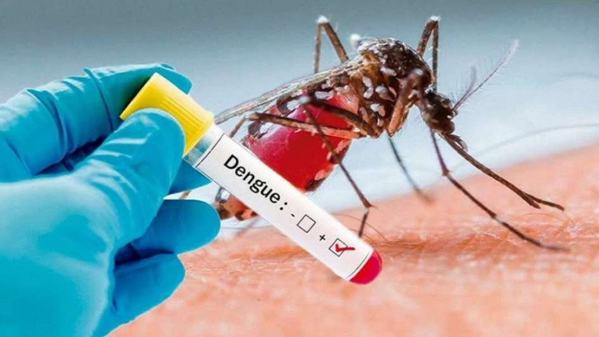 डेंगु संक्रमण बढेपछि ‘खोज र नष्ट गर’ अभियान