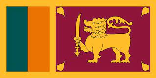 सन् २०२२ मा घाटामा रहेका श्रीलंकाकाे ५२ सरकारी व्यवसाय नाफामा 