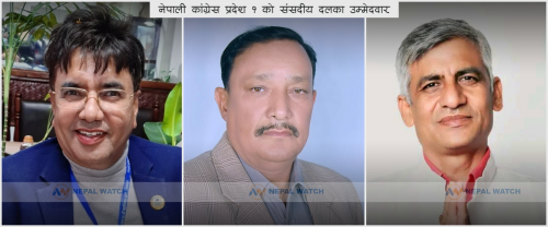 प्रदेश १ मा नेपाली कांग्रेस संसदीय दलको नेतामा तीन जनाको उम्मेदवारी