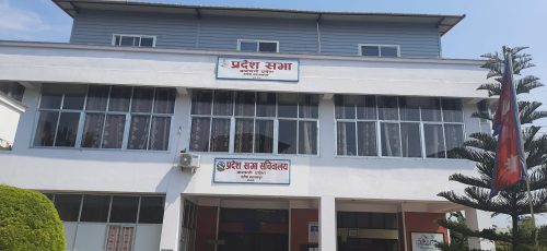 संसदीय विकास समितिद्वारा विकास आयोजनाको अनुगमन