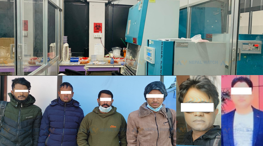 अस्पतालकै कर्मचारी बनाउँछन् नक्कली पिसिआर रिपोर्ट, चार पक्राउ