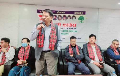 यसरी छानिन्छन् कांग्रेसका उम्मेदवार : सिंह