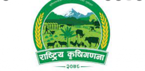 तनहुँमा कृषि गणना गरिँदै