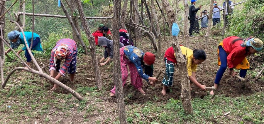 विद्यालयमा व्यावहारिक ज्ञान दिन किबी खेती : विद्यार्थीको आकर्षण बढ्दो