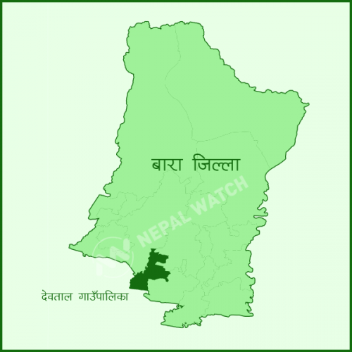 बारामा कांग्रेस ३, एमाले २ र जसपा १ वडाध्यक्षमा विजयी