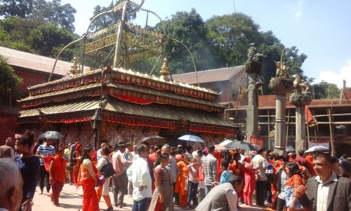मंगलबार रातिदेखि ठेचोमा नवदुर्गा भवानीको बाह्रवर्षे मेला सुरु