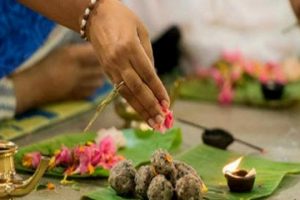 आश्विन कृष्ण पक्षः सोह्र श्राद्ध (पितृ पक्ष) आजदेखि विधिवत् आरम्भ गरिँदै