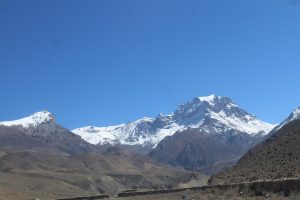 उपल्लो मुस्ताङका किसानलाई स्याउका बिरुवामा अनुदान