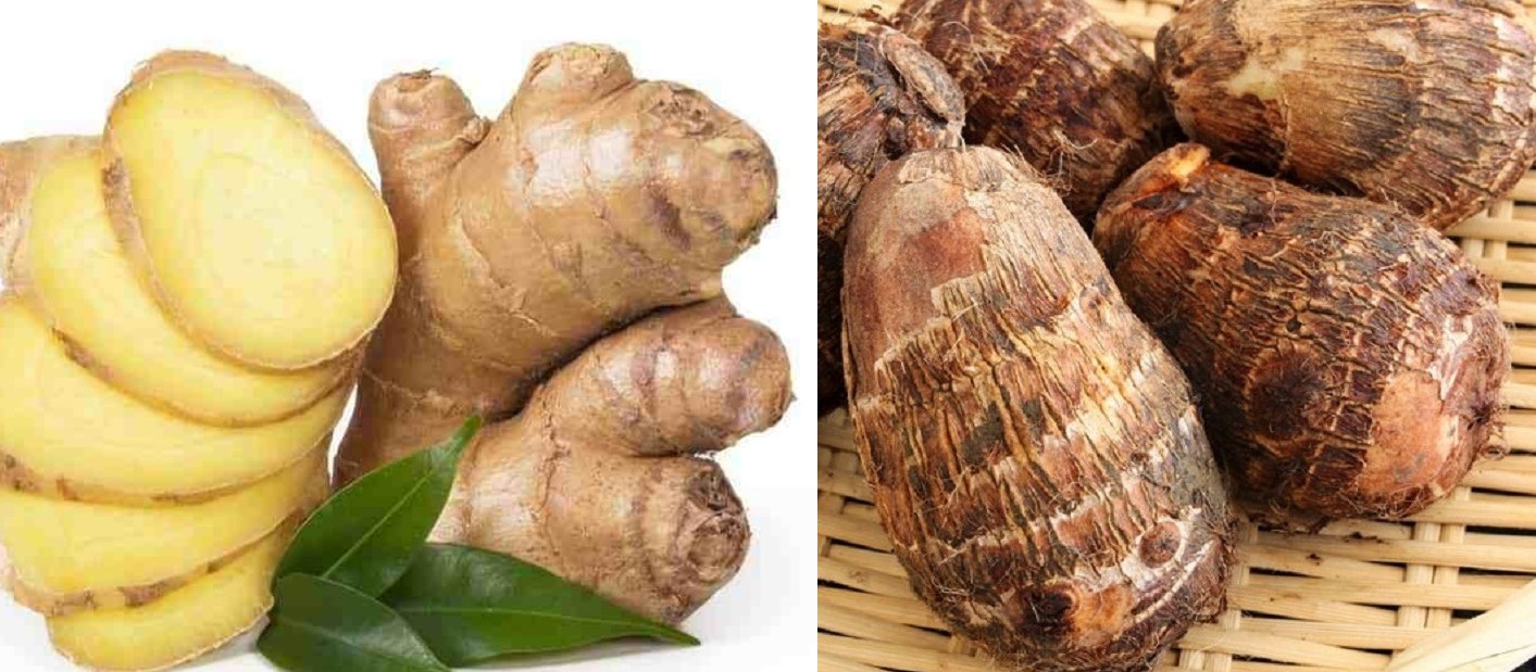 अदुवाभन्दा पिँडालु महँगो