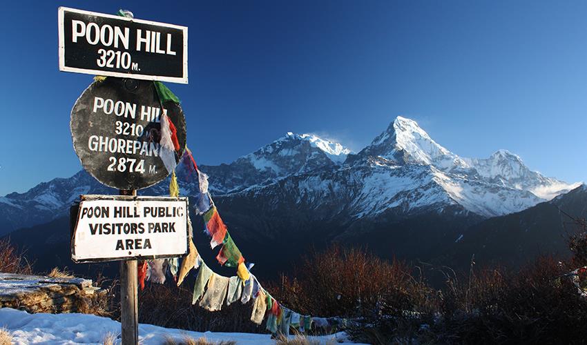 वसन्त ऋतुसँगै घोडेपानी र पुनहिलमा सुरु भयो पर्यटकको लर्को