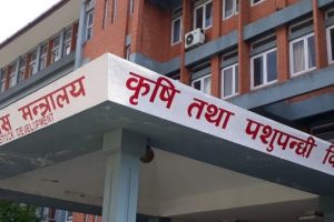 रासायनिक मल सहज रूपमा उपलब्ध गराउन कृषि मन्त्रालय क्रियाशील
