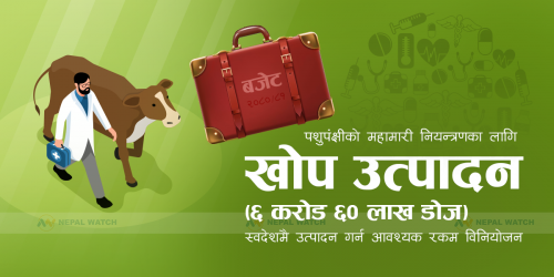 पशुपन्छीको महामारी नियन्त्रणका लागि स्वदेशमै भ्याक्सिन उत्पादन गरिने