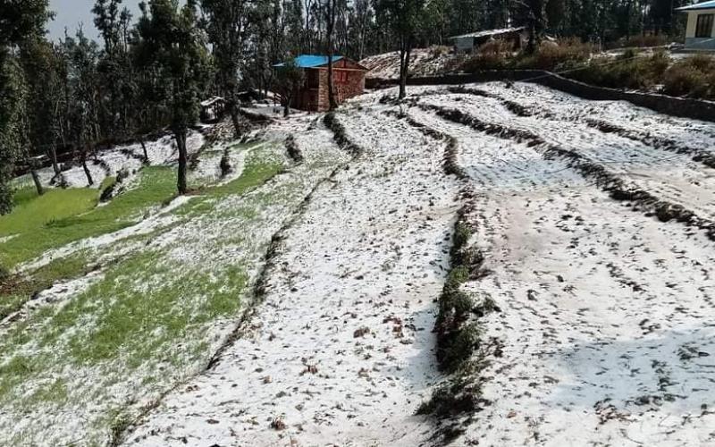 बैतडीमा असिनापानी, पाकेको बालीनाली सखाप