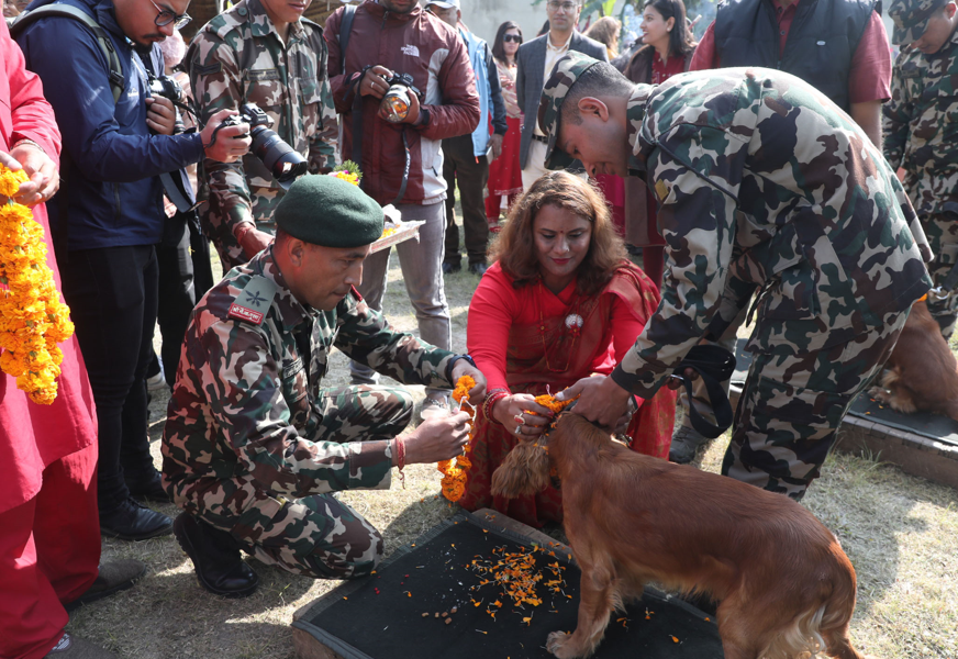 भैरव बहान गुल्ममा मनाइयो कुकुर तिहार