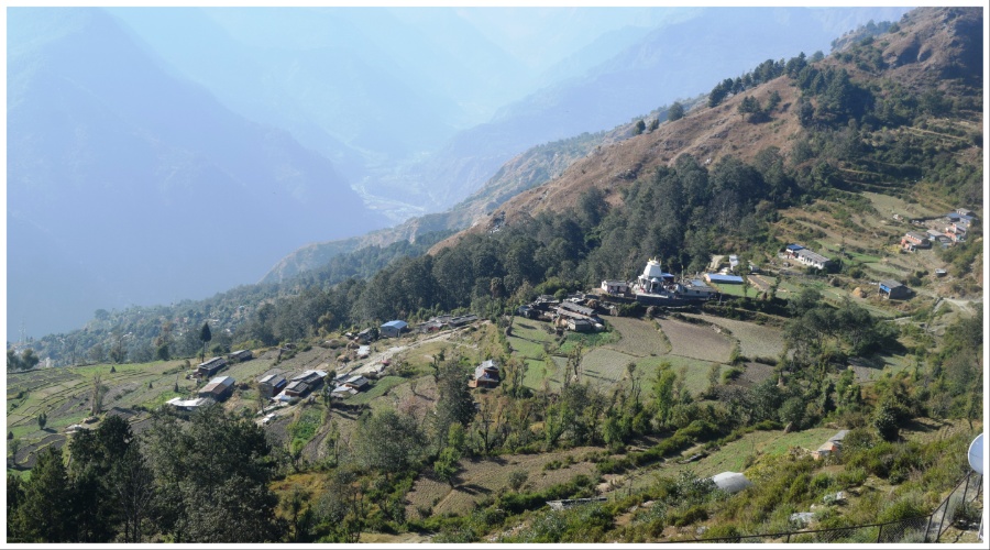 गाजने गाउँ जहाँ कुखुरापालन र घरेलु मदिरा उत्पादन हुँदैन