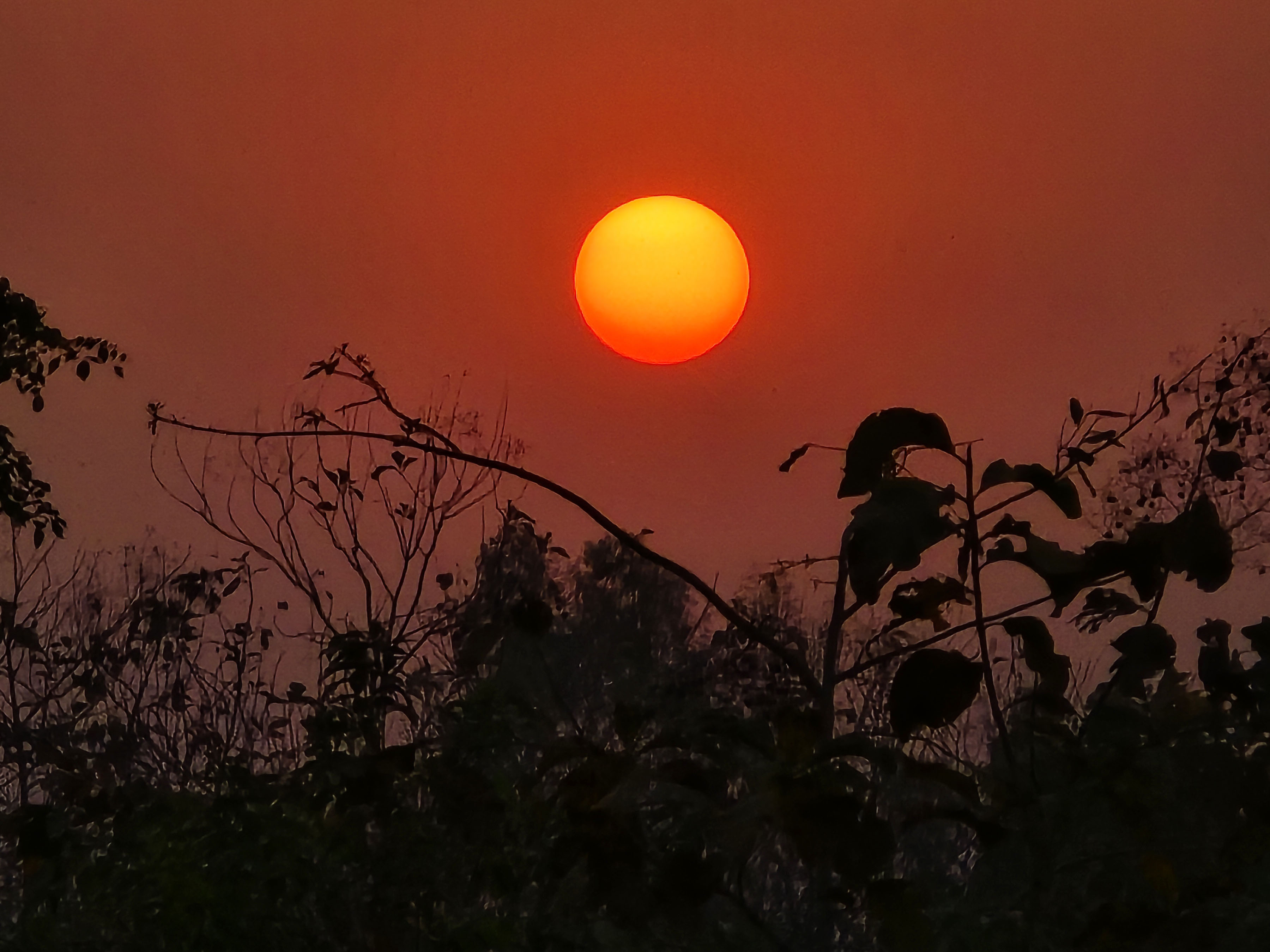 वि.सं. २०८१ आजदेखि सुरु