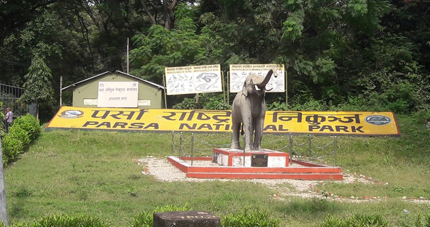 पर्सा राष्ट्रिय निकुञ्ज भित्रिने पर्यटकको संख्या बढ्यो