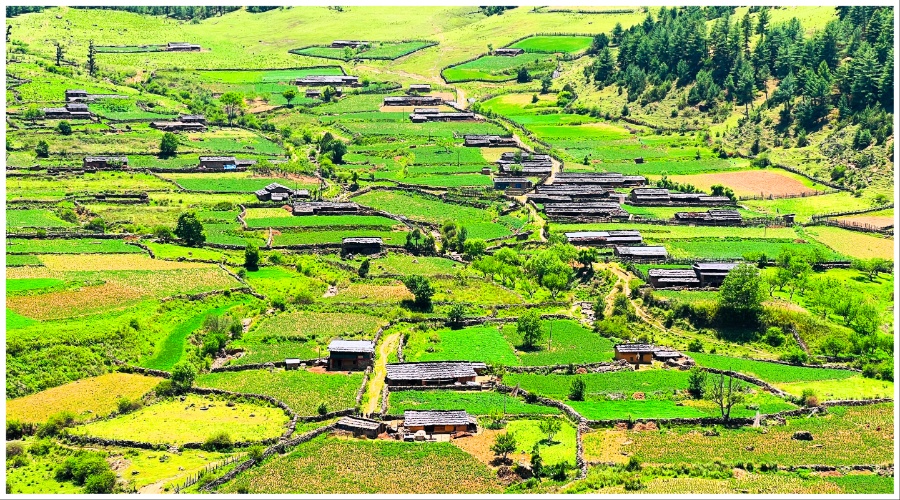 ग्रामीण जनजीवन साचेर राखेको दिजगाउँ
