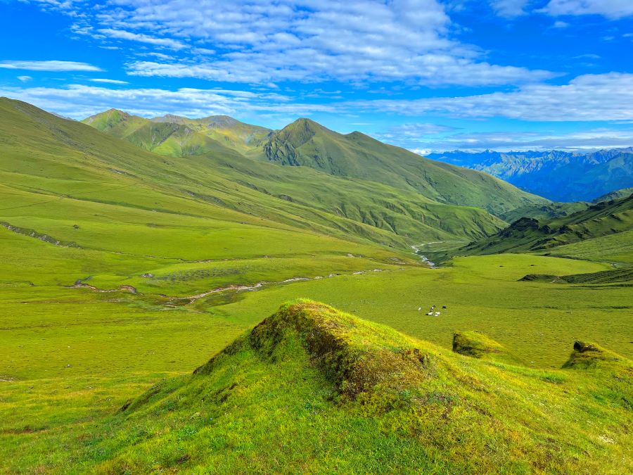 आन्तरिक पर्यटकको रोजाइमा बराहताल र बुकीपाटन