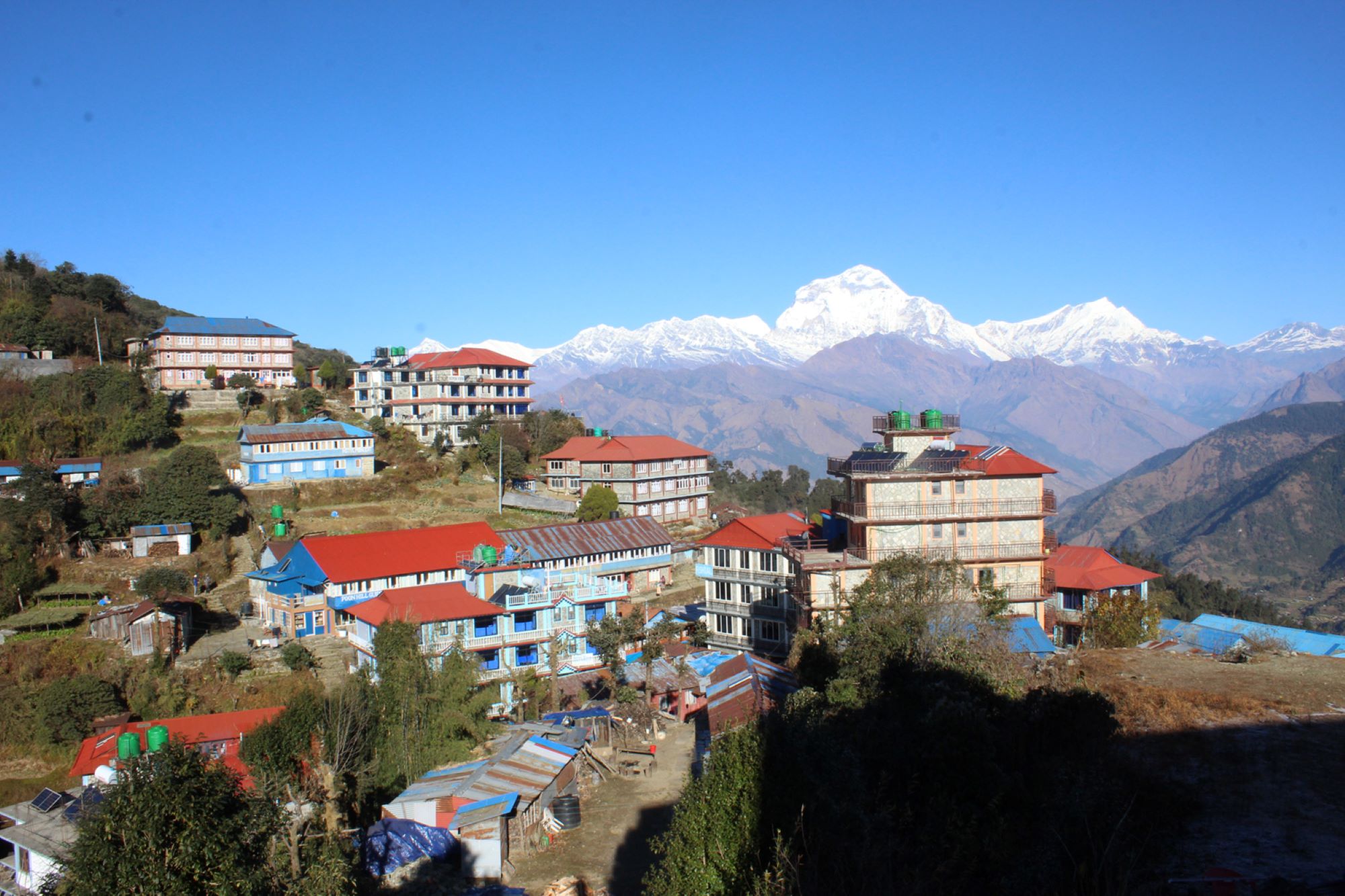 आहा घोडेपानी !