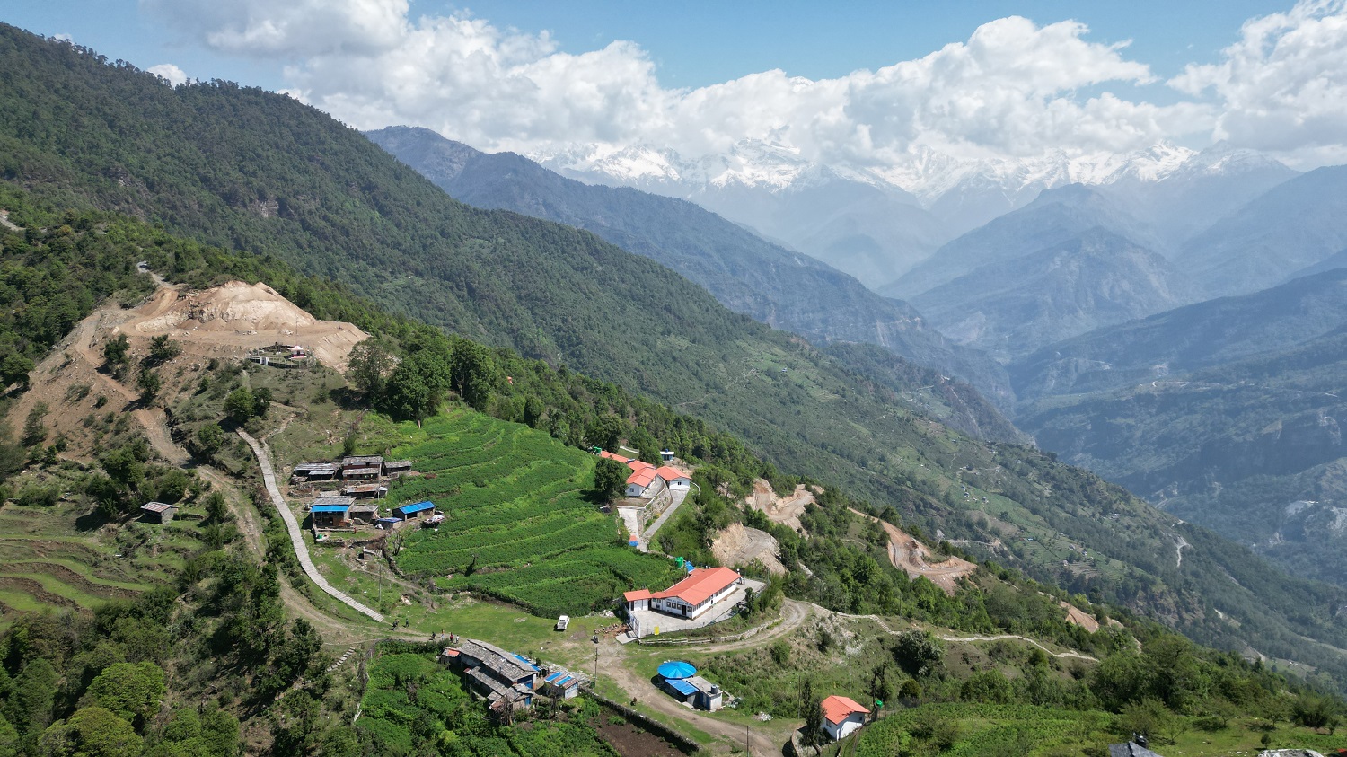टोड्के पुग्नै सकस