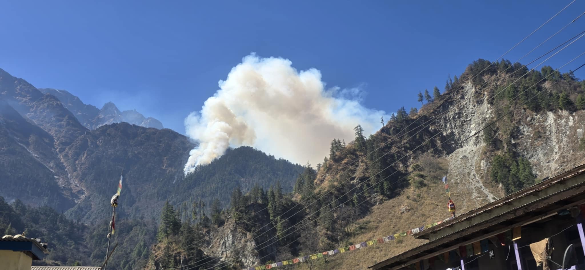 अझै नियन्त्रणमा आएन तिमाङको जङ्गलमा लागेको डढेलो 