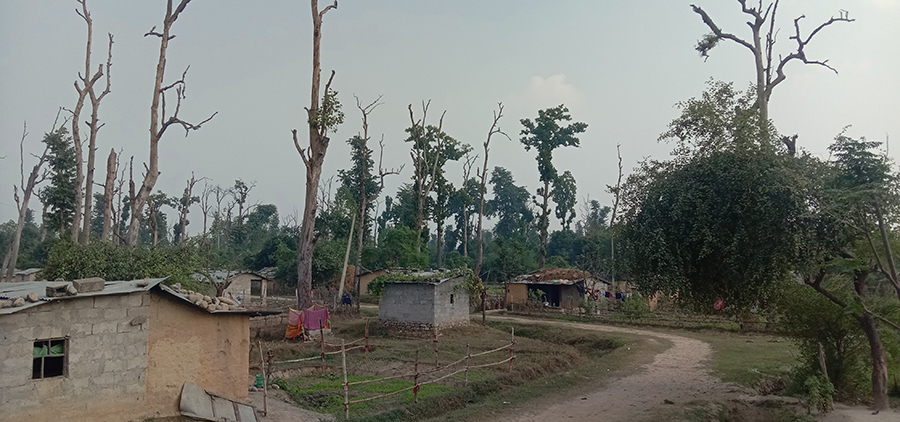 सुकुमबासी आयोगले सुरु गर्‍यो लागत सङ्कलनको काम
