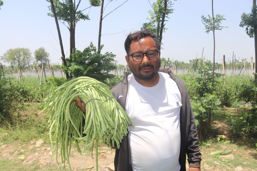 जग्गा भाडामा लिएर व्यावसायिक तरकारी खेती 