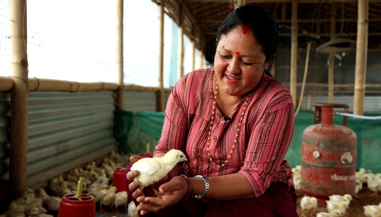 ऋणले बदलिएको रिताको जीवन– गृहणीबाट उद्यमी