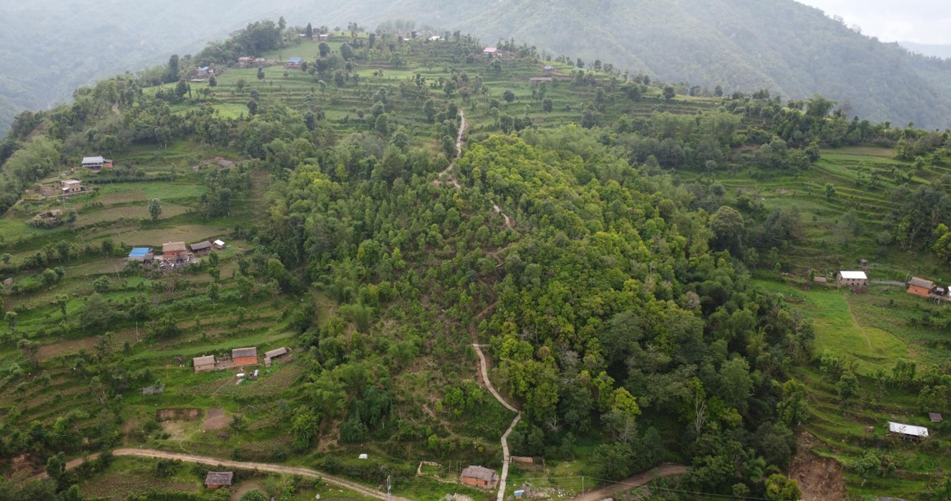 भोजपुरको वाक्चाखामा ‘जाल्पादेवी गुराँस पदमार्ग’