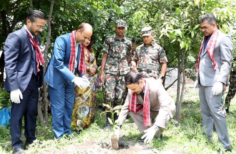  विश्व वातावरण दिवसको अवसरमा ग्लोबल आइएमई बैंककाे वृहत् बृक्षारोपण कार्यक्रम आयोजना