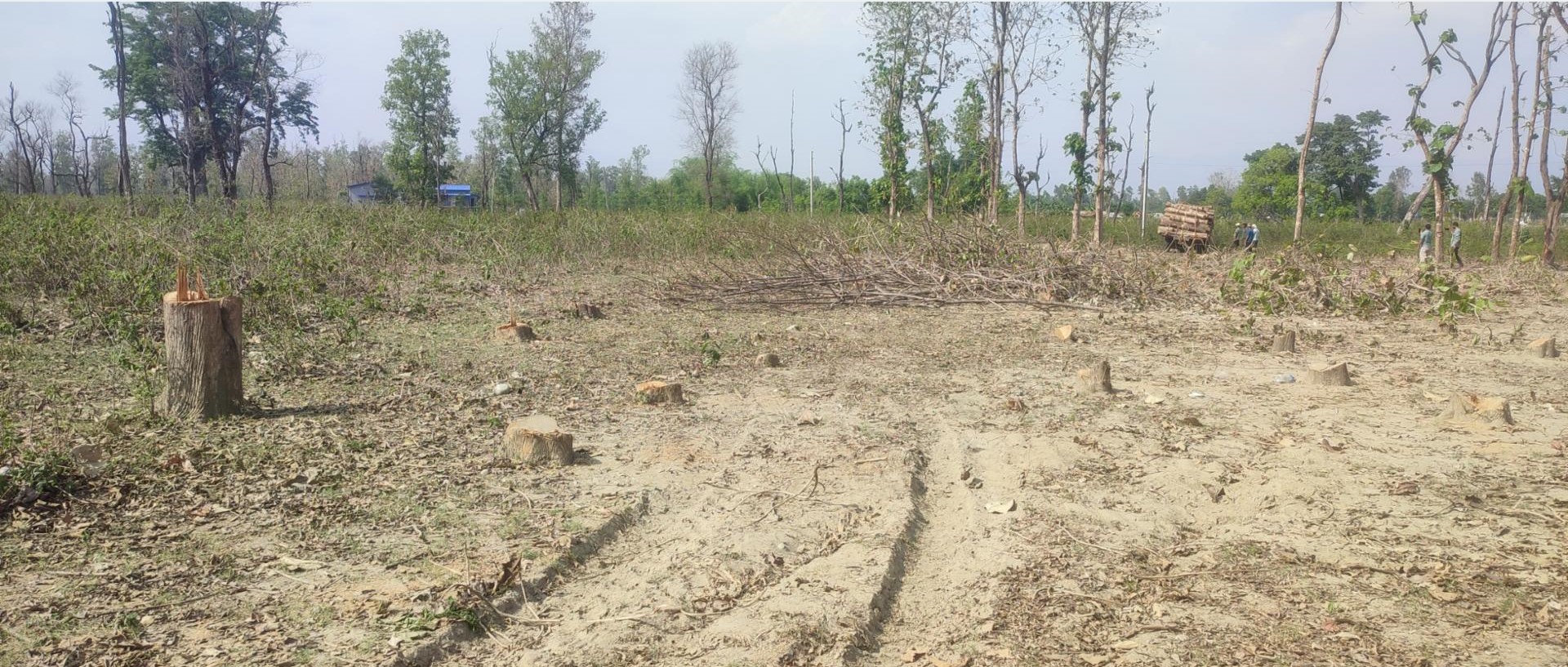 दोधारा चाँदनीमा सुक्खा बन्दरगाह निर्माणले लिँदै गति