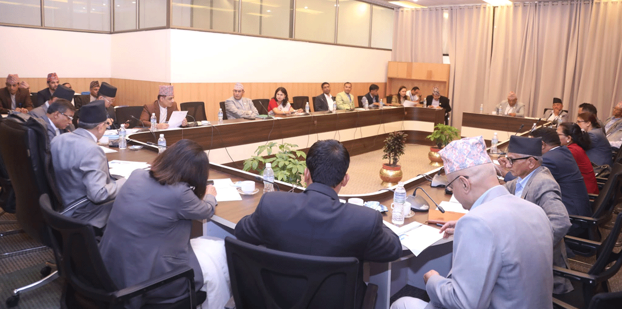 ‘कुलिङ अफ पिरियड’मा भएको गडबडीबारे छानबिन गर्न विशेष समितिले पायो २१ दिनको समय