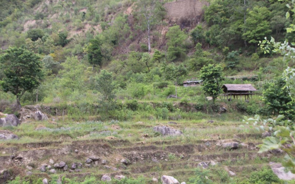 सिँचाइमा क्षति पुग्दा बाँझिए खेतबारी