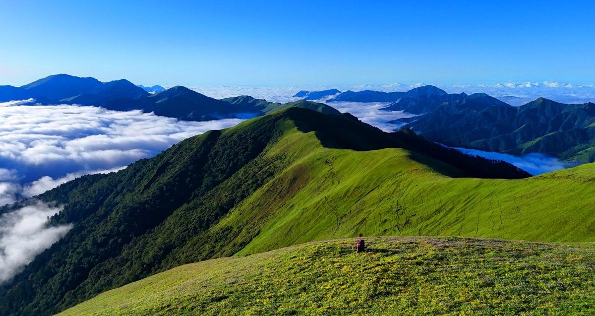 पर्यटकको आकर्षण बन्दै चौरीखर्क