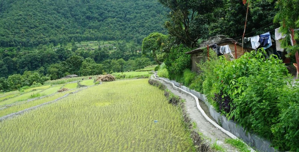 ५२ हेक्टरमा सिँचाइ सुविधा विस्तार
