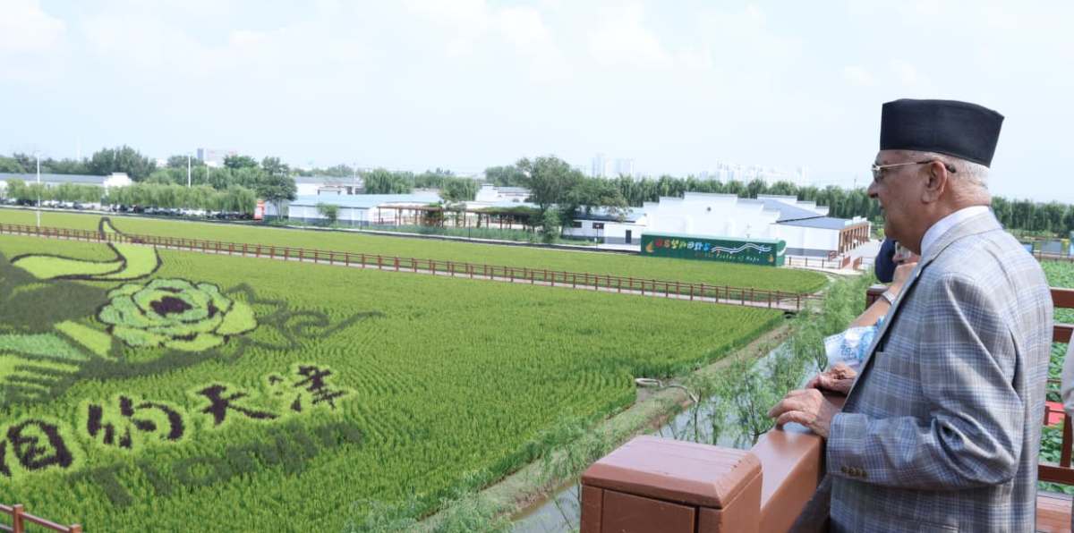जिनानको धान उत्पादन विशेष क्षेत्रको भ्रमणमा प्रधानमन्त्री ओली