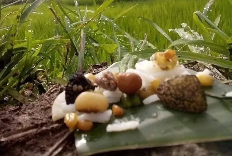 प्राकृतिक देवता मान्दै भ्यागुतालाई भात