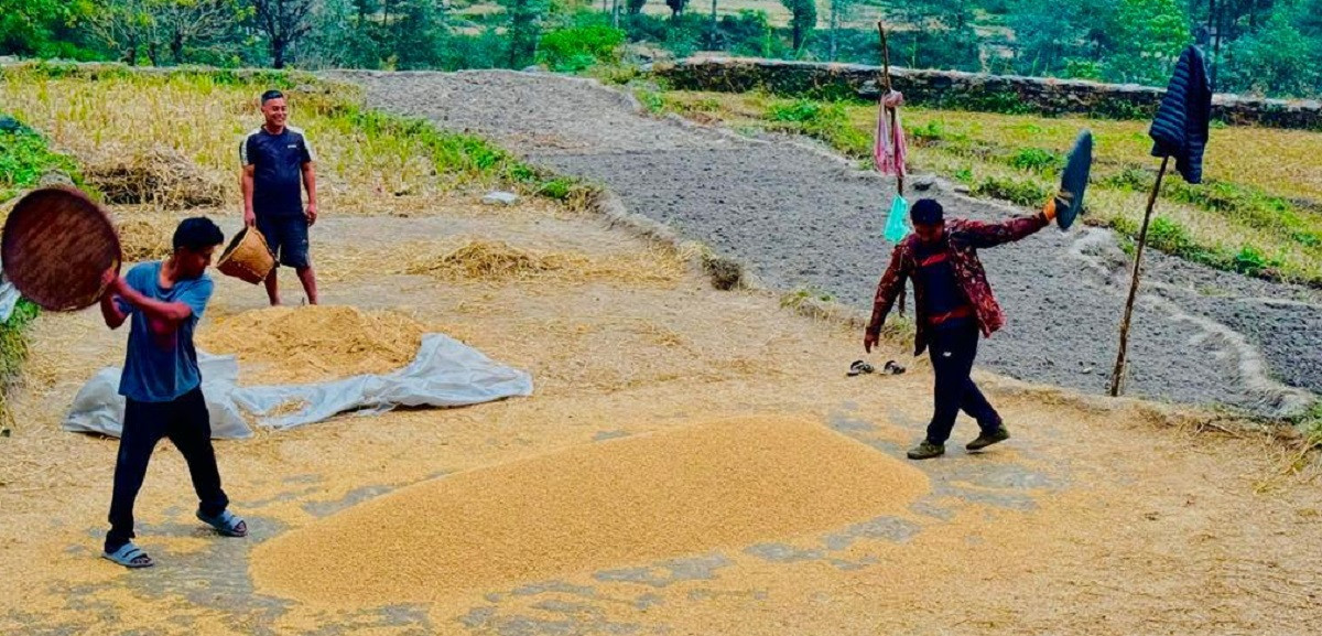 पर्वतमा ६५ करोडको कृषिजन्य वस्तुको कारोबार