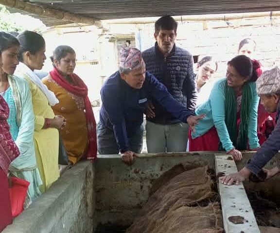 गड्यौलाकाे मल बेचेर २५ लाखसम्म आम्दानी