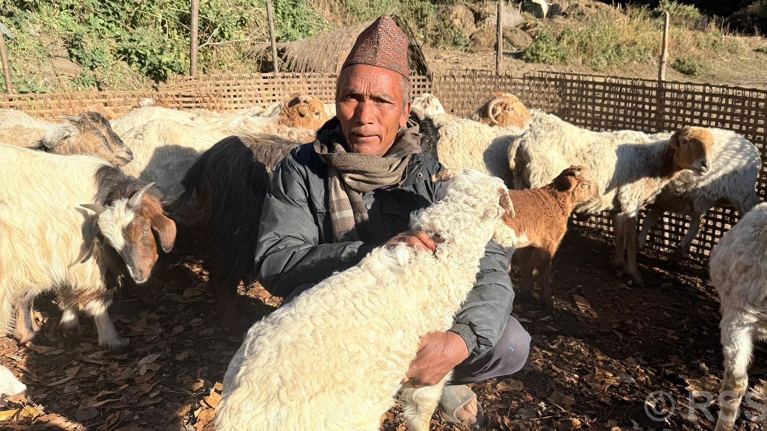 भेडागोठमा पाँच दशक बिताएका नरेन्द्रलाई पढ्न नपाएकोमा पछुतो