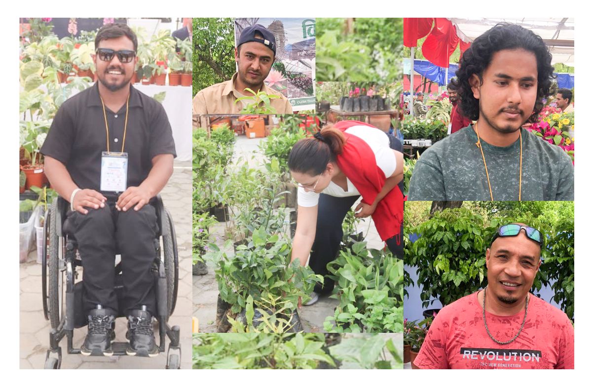 नर्सरी व्यवसायमा युवाको बढ्दो आकर्षण