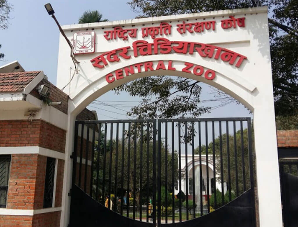 ‘बर्डफ्लु’ संक्रमण लुकाएको आरोपमा चिडियाखाना प्रमुख साहमाथि छानबिन