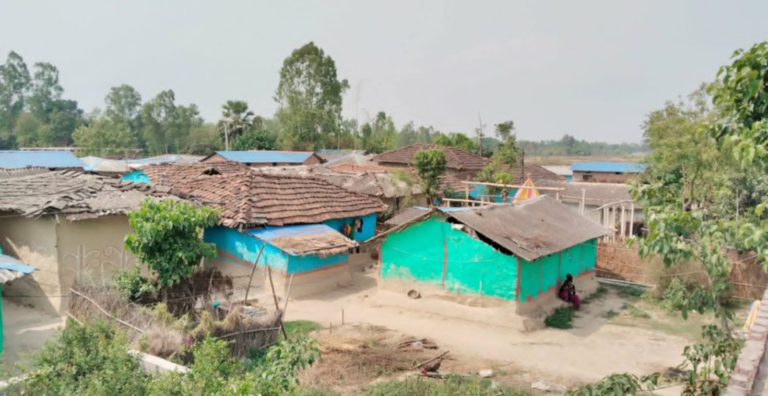 दशक अघि खुला दिसामुक्त घोषणा, मुसहर बस्ती अझै शौचालयविहीन