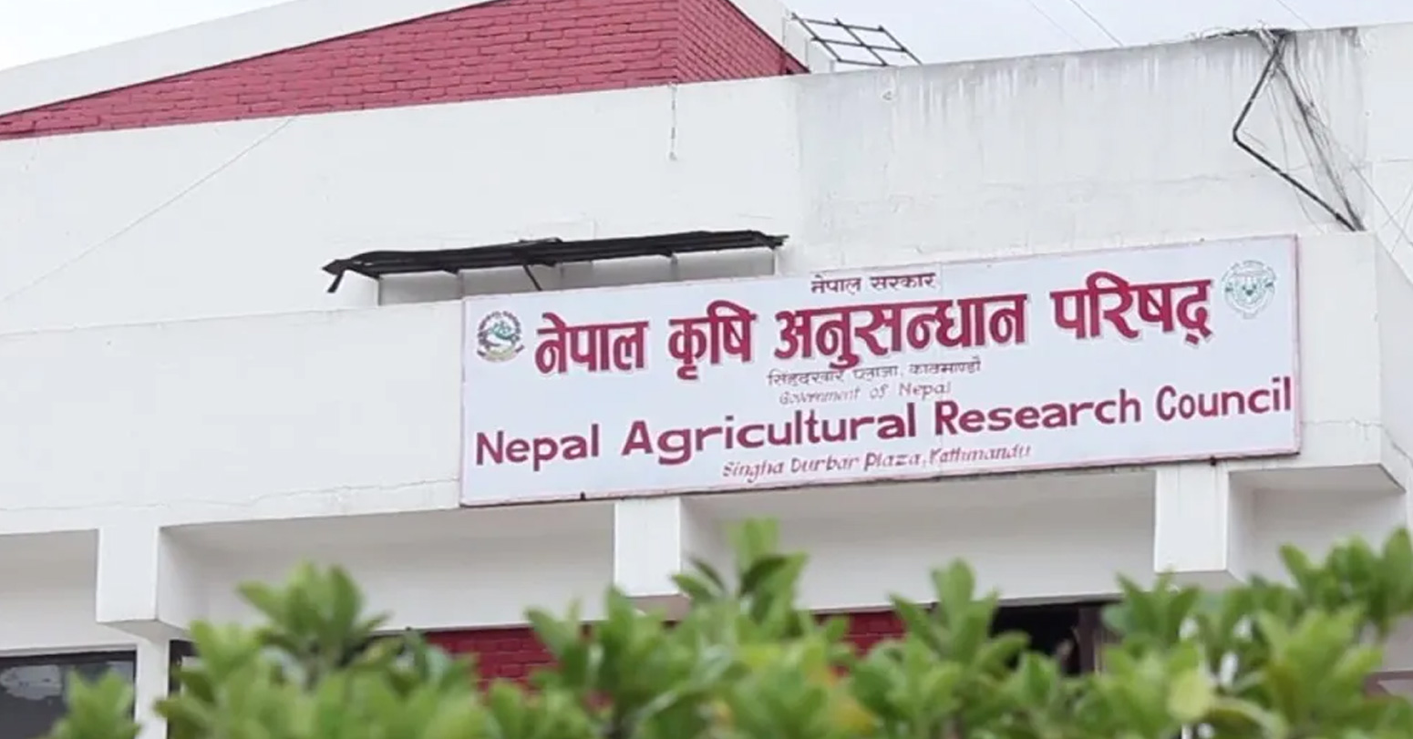 बेपत्ता कर्मचारीमाथि कारबाही एक्सन सुरु, नार्कबाट सुरुवात