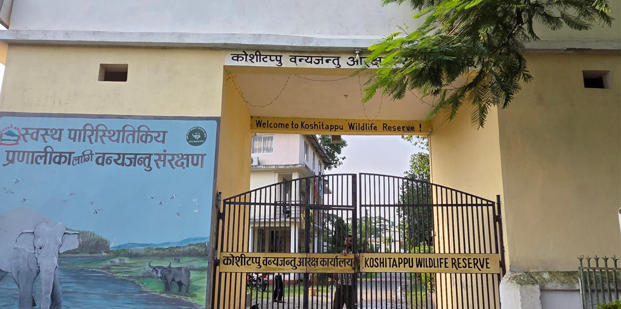 प्रचारप्रसारको अभावमा कोशी टप्पुमा विदेशी पर्यटक न्यून