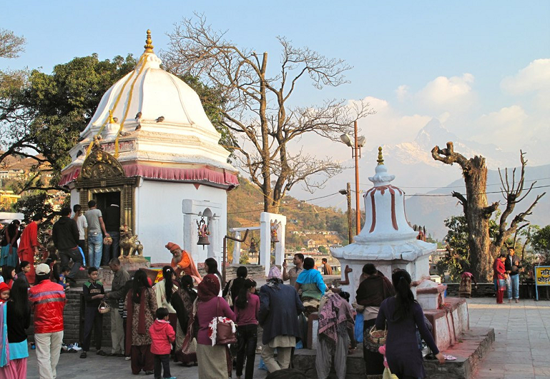 सरकारकै तर्फबाट विन्ध्यवासिनीमा विधिपूर्वक भित्राइयो फूलपाती